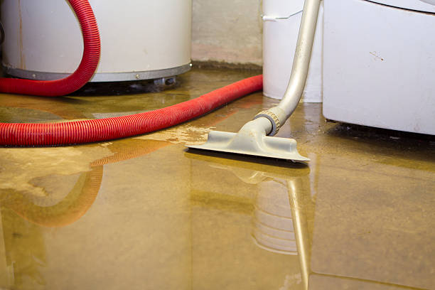 Odor Removal and Sanitization After Water Damage